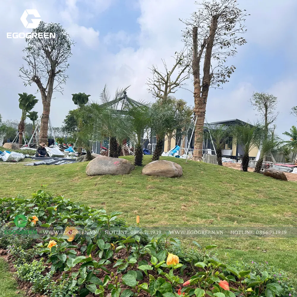 Trang trí cây cối cần có độ thoáng nhất định